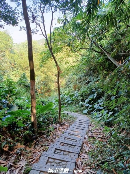 過龍脈|【雲林林內】台灣百大必訪步道。 龍過脈森林步道